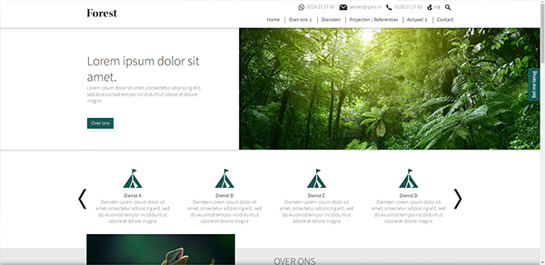 Forest